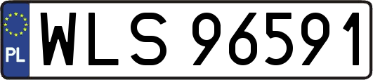 WLS96591