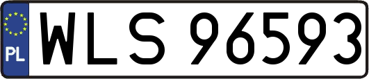 WLS96593