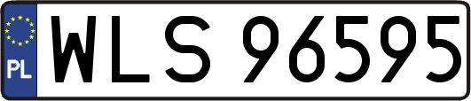 WLS96595