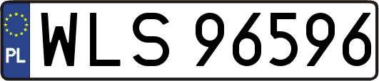 WLS96596