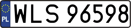 WLS96598