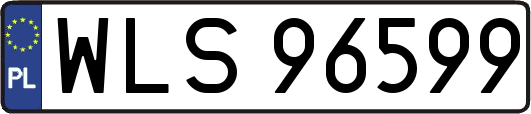 WLS96599