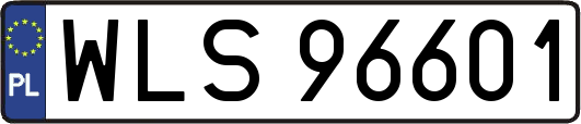 WLS96601