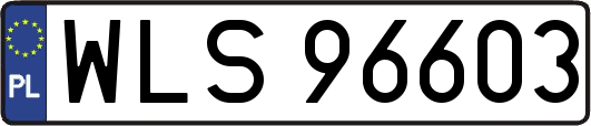 WLS96603