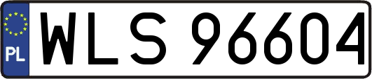 WLS96604