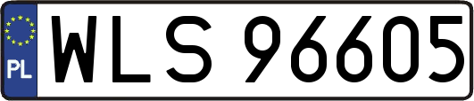 WLS96605