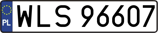 WLS96607
