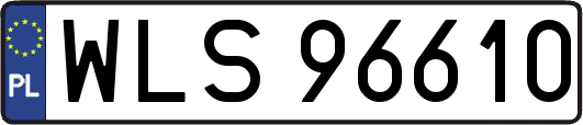 WLS96610