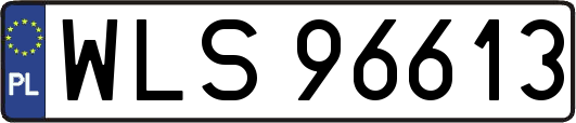 WLS96613