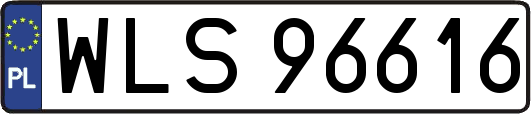 WLS96616