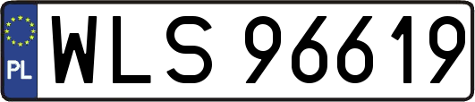 WLS96619