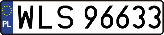 WLS96633