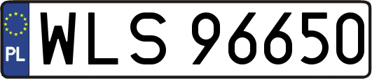 WLS96650