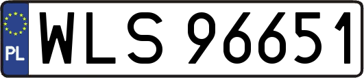 WLS96651