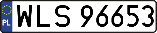 WLS96653