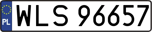 WLS96657