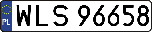 WLS96658