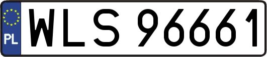 WLS96661