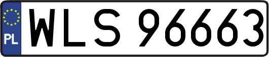 WLS96663