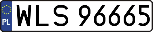 WLS96665