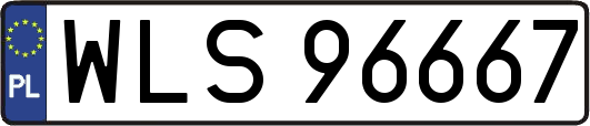 WLS96667