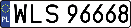 WLS96668