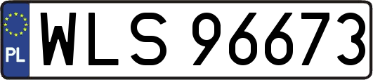 WLS96673