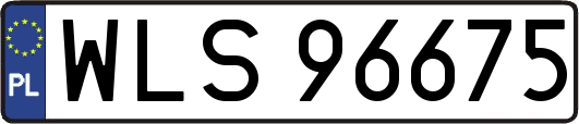 WLS96675