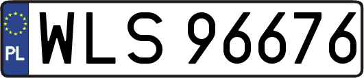 WLS96676