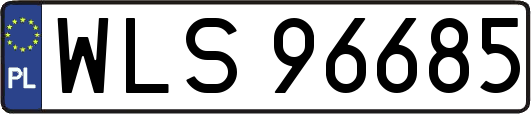 WLS96685