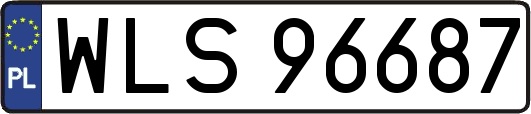 WLS96687