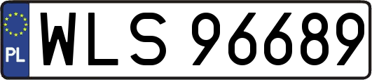 WLS96689