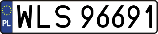 WLS96691