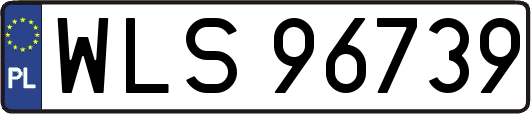 WLS96739