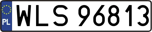 WLS96813