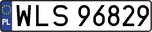 WLS96829