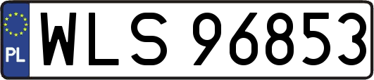 WLS96853