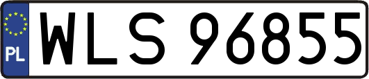 WLS96855
