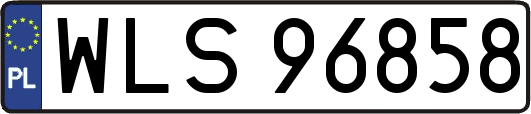 WLS96858
