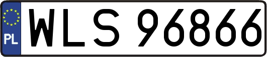 WLS96866