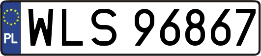 WLS96867