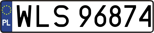 WLS96874