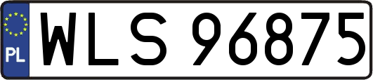WLS96875
