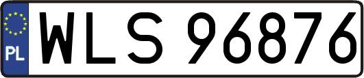 WLS96876