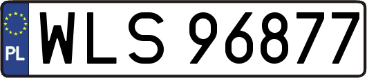 WLS96877