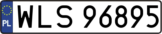 WLS96895