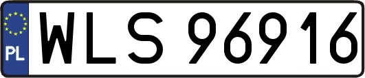 WLS96916