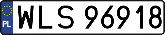 WLS96918