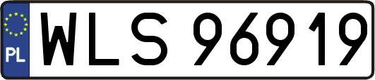 WLS96919