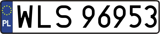 WLS96953
